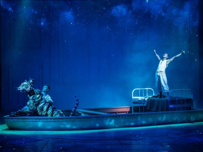 Life of Pi Productions Casting Choices And Directors Vision Examined